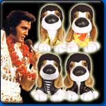 Elvis Hound Dogs In Stock Now! Collect them All.